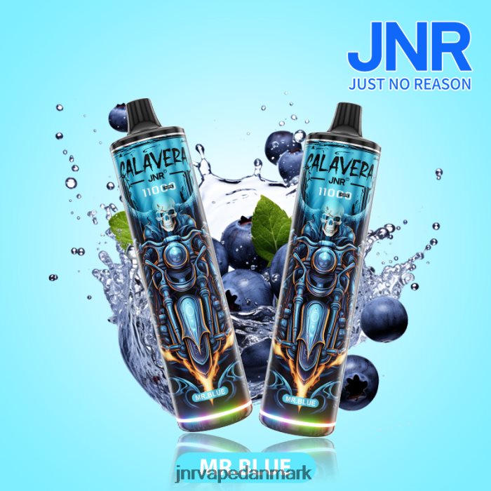 JNR Vape Copenhagen - jnr calavera mr.blå Z4LN303