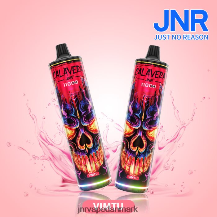 JNR Vapes Factory - jnr calavera vimtu Z4LN304