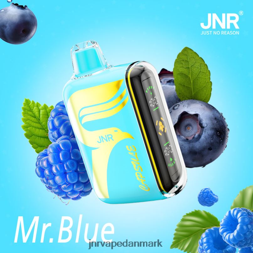 JNR kapsel mr.blå 6RXN64 JNR Vape Price