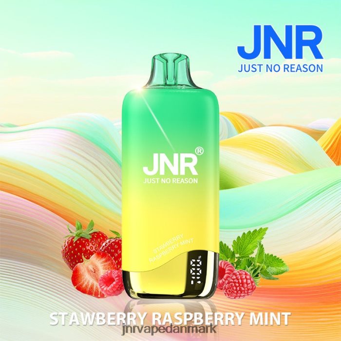 JNR Vapes Website - jnr regnbue jordbær hindbær mynte Z4LN268