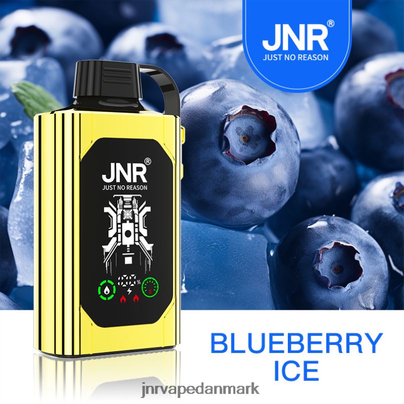 JNR SHISHA boks blåbæris 6RXN75 JNR Vape Review