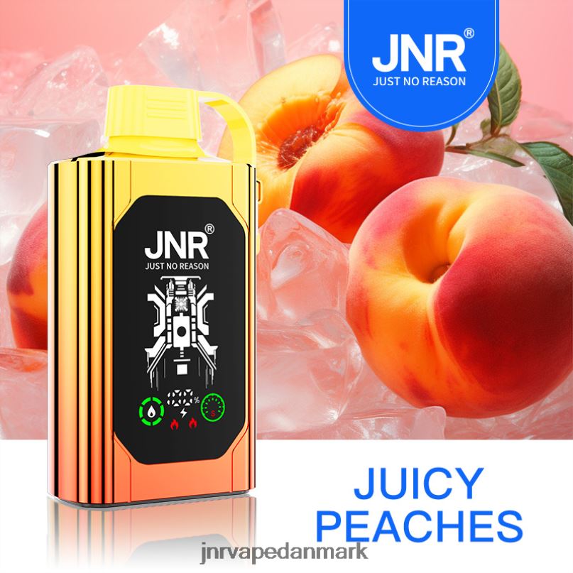 JNR SHISHA boks saftige ferskner 6RXN84 JNR Vape Price