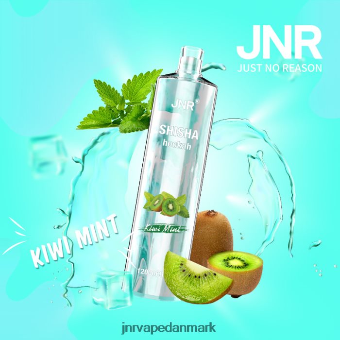 JNR Vape Flavours - jnr shisha kiwi mynte Z4LN169