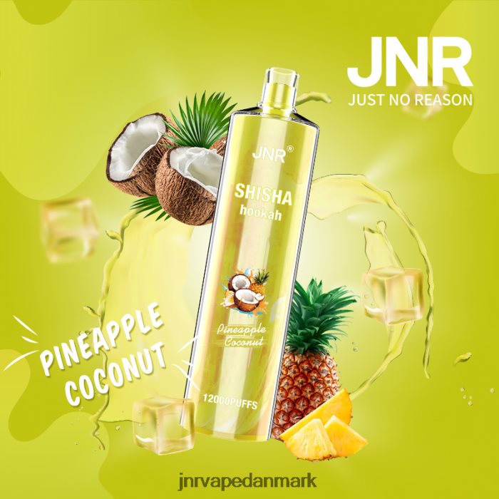 JNR Vape Nicotine - jnr shisha ananas kokos Z4LN167