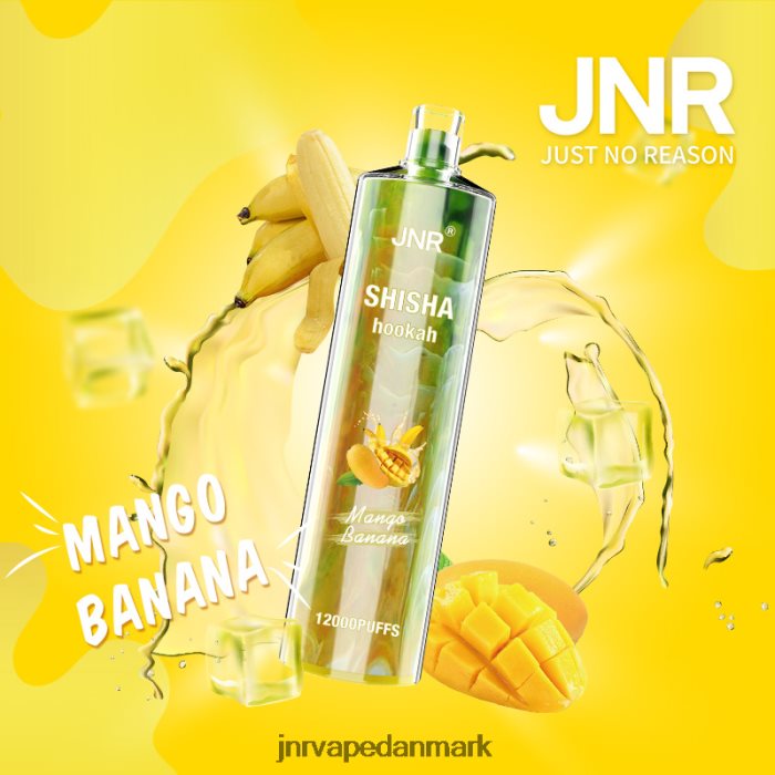JNR Vape Price - jnr shisha mango banan Z4LN165