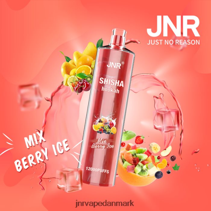 JNR Vape Review - jnr shisha bland bæris Z4LN166