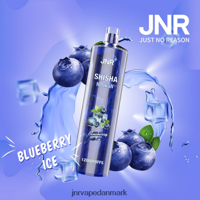 JNR Vape Shop - jnr shisha blåbæris Z4LN161