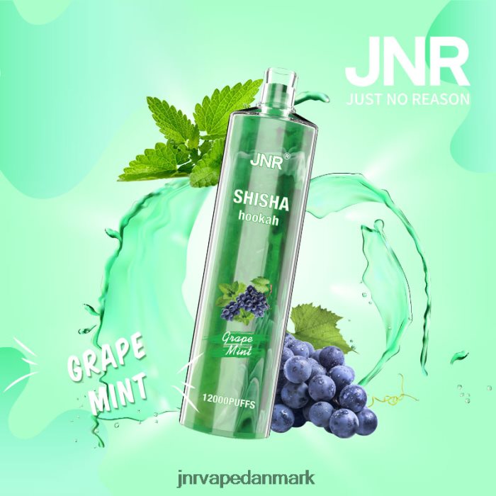 JNR Vape Shop - jnr shisha druemynte Z4LN171