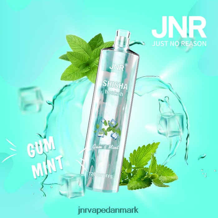 JNR Vapes Factory - jnr shisha tyggegummi og mynte Z4LN164