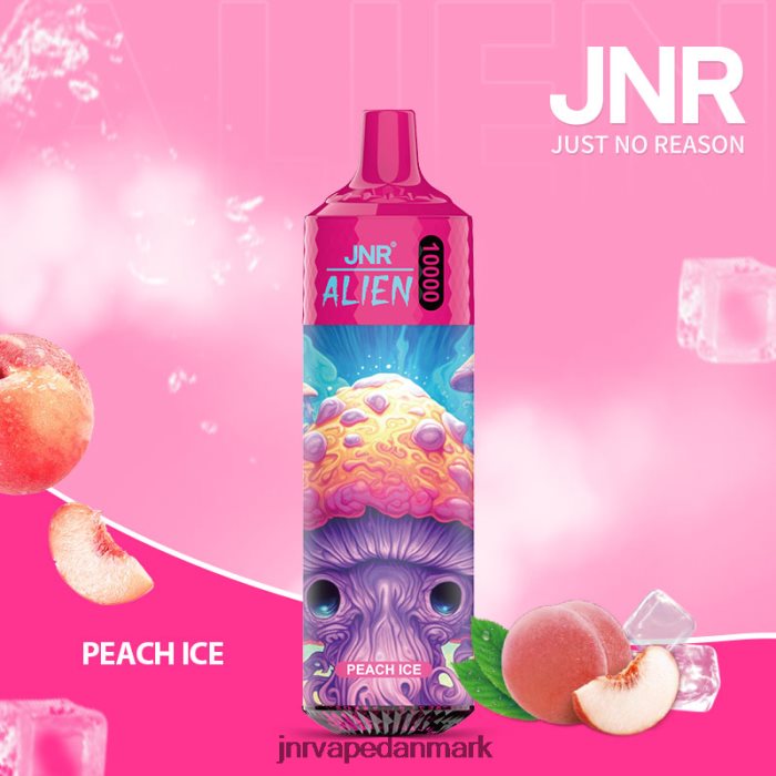 JNR Vape Review - jnr udlænding fersken is Z4LN136