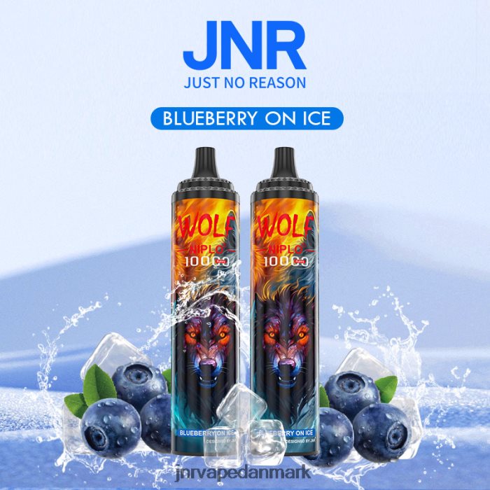 JNR Vapes Website - jnr ulv niplo blåbær på is Z4LN358